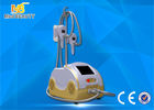 Китай Cryo Fat Dissolved Weight Loss Coolsculpting Cryolipolysis Machine завод